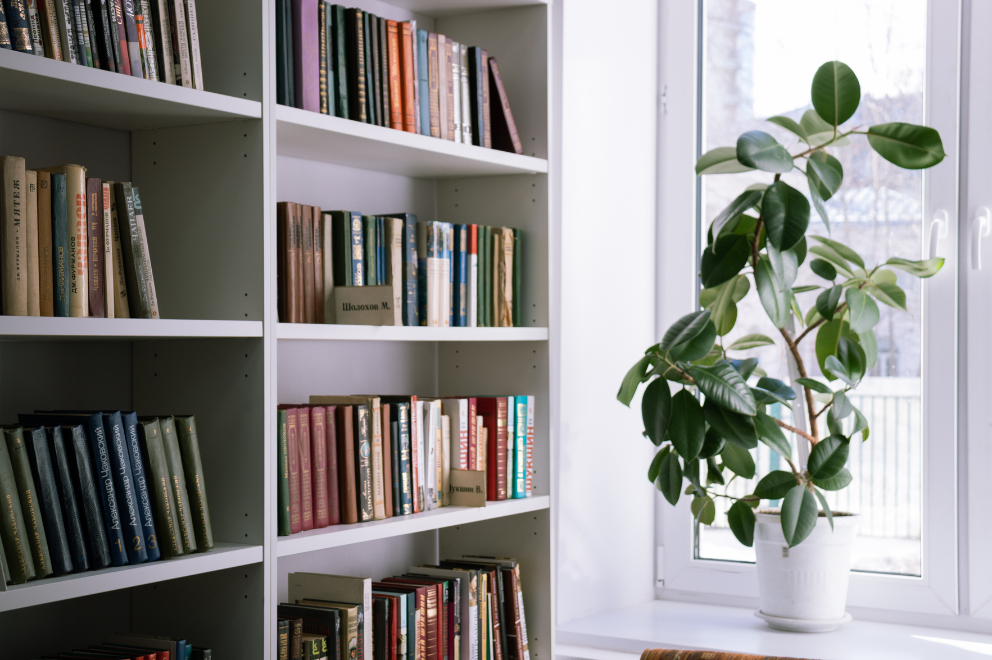 Books and Shelves