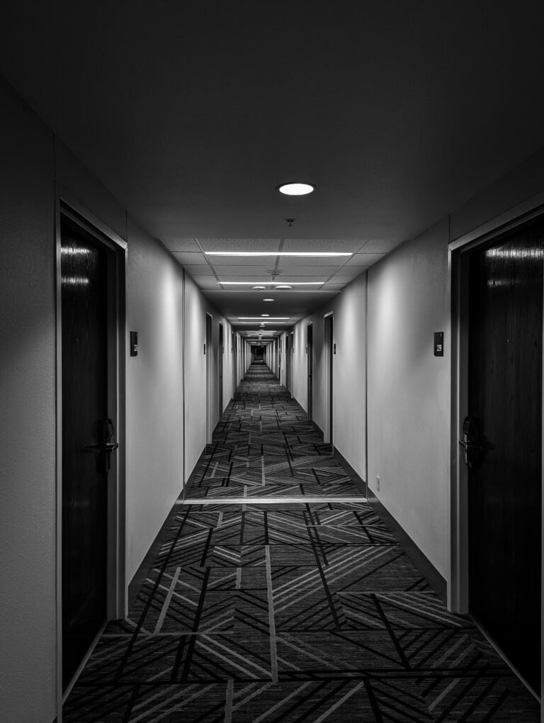 modern black doors interior hallway